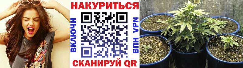 Купить закладки Коммунар Бошки марихуана OG Kush